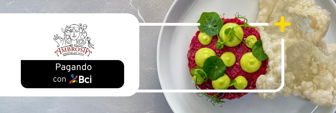 Vitacura - Una experiencia culinaria inolvidable y de autor.