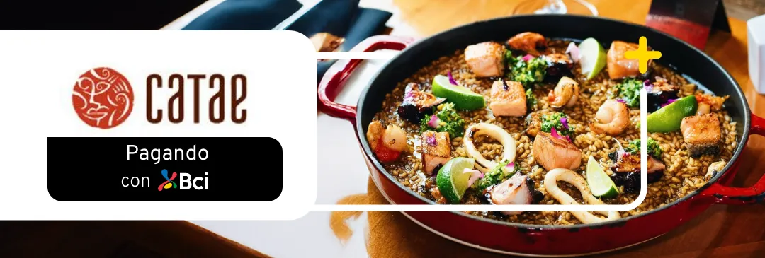Vitacura - Gastronomía de vanguardia en un ambiente elegante. Redescubre el sabor.