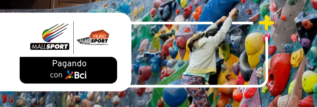 Disfruta del muro de escalada perfecto para entrenar en un lugar ambientado y cómodo.